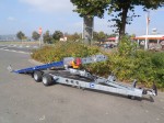 Merkur